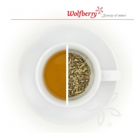 Kotvičník bylinný čaj 50 g Wolfberry