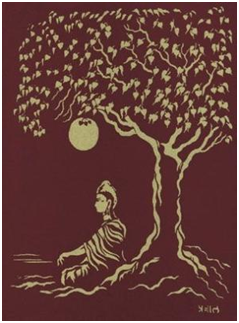 strom meditacia